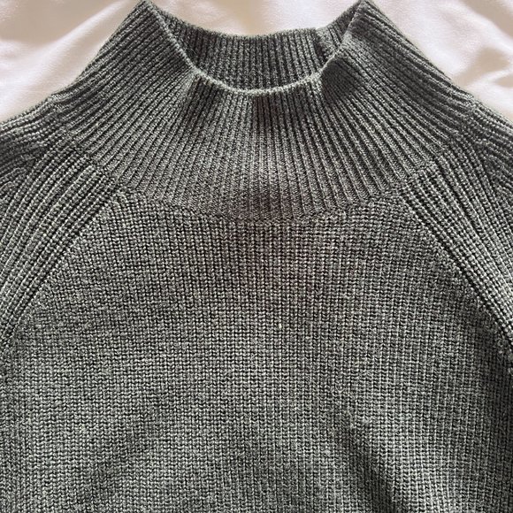Eileen Fisher | Superfine Merino Wool Turtleneck Raglan Sweater | Ivy | Petite M - Picture 7 of 10